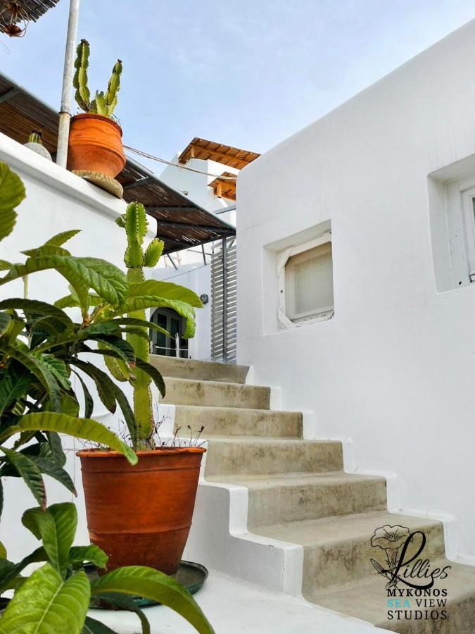 Lillies Mykonos Sea View Studios Tourlos Zewnętrze zdjęcie