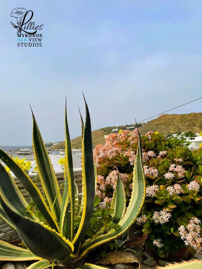 Lillies Mykonos Sea View Studios Tourlos Zewnętrze zdjęcie